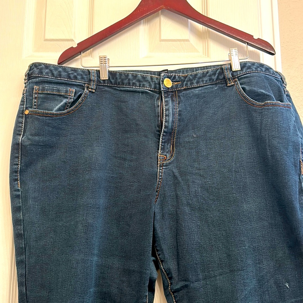 Lane Bryant side 24R